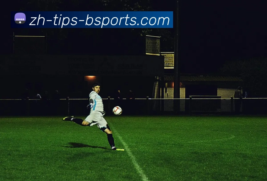 B体育平台生态图